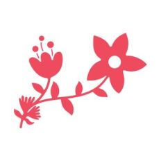 florals