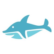 cute shark