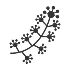 floral branch