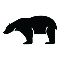 polar bear
