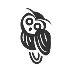 owl bird