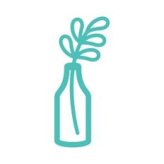 plant stem in vase