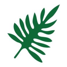 tropical leaf