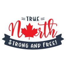 true north