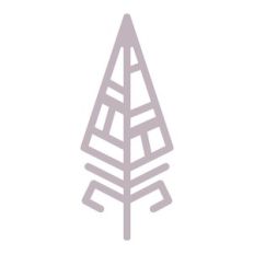 geometrical feather design