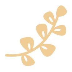 plant stem