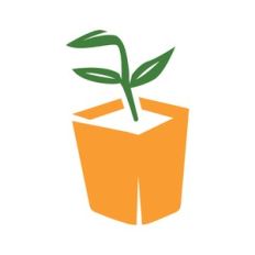 potted plant