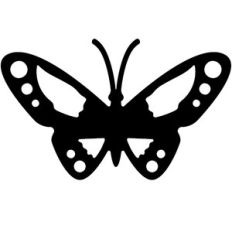 butterfly