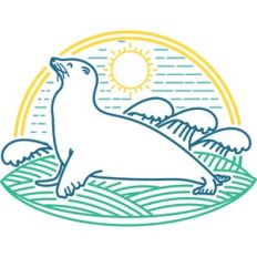 seal and waves