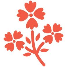 autumn flower