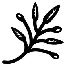 plants on branch