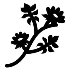 plants on branch