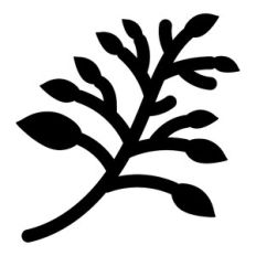 plants on branch