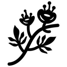 plants on branch