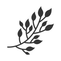 floral branch