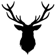 deer elk