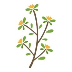 floral leaf ornament