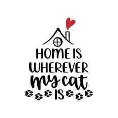 home is wherever my cat is