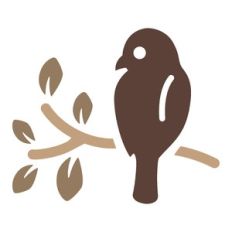 bird with branch