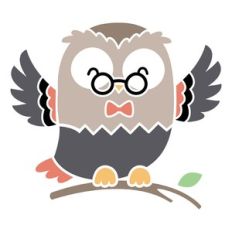 grandma owl