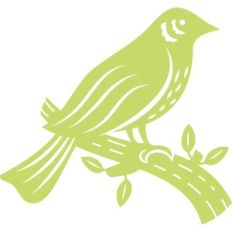 bird on the tree