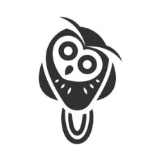 owl bird