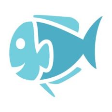 cute sea fish
