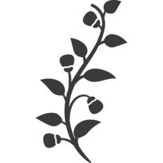 nature plant