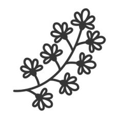 floral branch