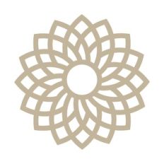 intricate mandala