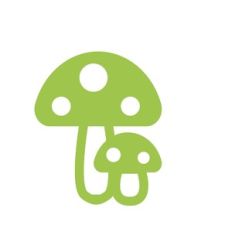 mushroom