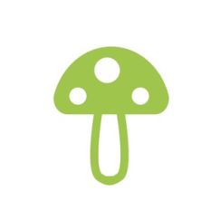 mushroom