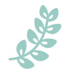 plant stem