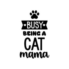 busy being a cat mama