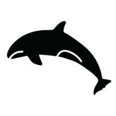 dolphin