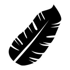 tropical leaf