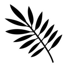 tropical leaf