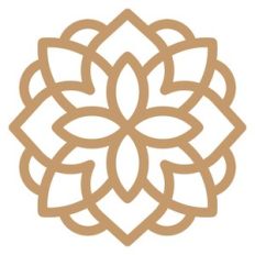 decorative mandala