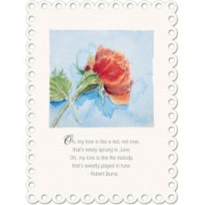rose watercolor postcard
