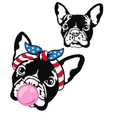 patriotic pup