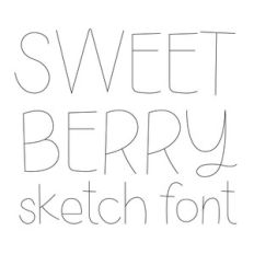 dtc sweet berry sketch