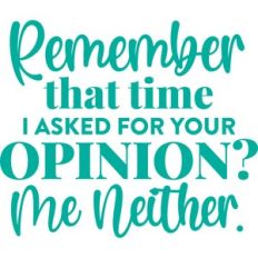 remember that time when I asked for your opinion?