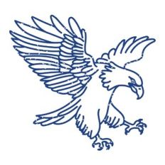 patriotic eagle