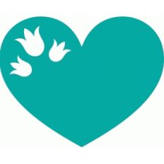 tulip heart