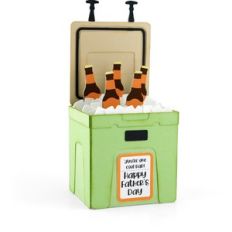 cooler with drinks