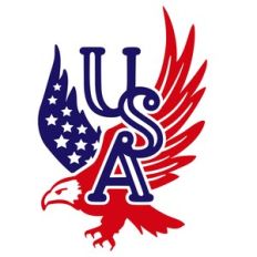 usa american eagle