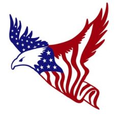 american eagle flag