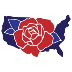 4th of july flower