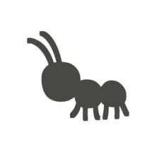 ant