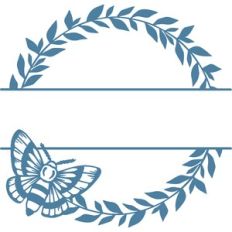 moth monogram